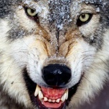 Антон Князев, 30.05, Нефтеюганск