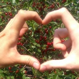 Елена Мурышкина