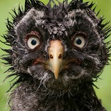 Игорь Михайлович, Мурманск