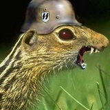 Серега Set, 13.09.1916, Харьков