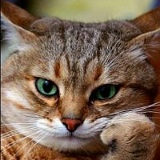 Kair Ильяшев, 26.05, Москва