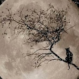 Ольга Омарова, 31.03, Черноморск / Ильичевск