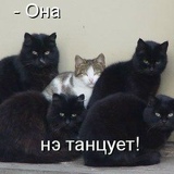 Мария Крохина, 20.06, Москва