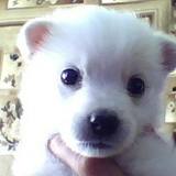 Анастасия Иванова, 27.02.1998, Татарск