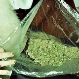 Евгений Лапин, 27.12, Москва