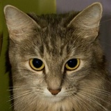 Eugene Livesey, Москва