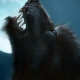 Дмитрий Пак, 07.03, Санкт-Петербург