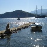 Вероника , 08.07