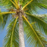 Елена Савельева, 11.12, Санкт-Петербург