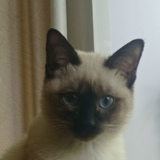 Sergey Khukhtinen, 24.03.1961, Санкт-Петербург