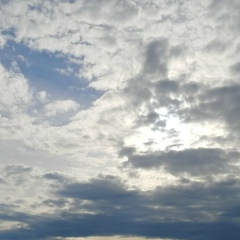 Виктор Ефимов