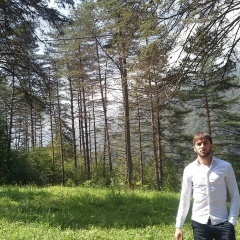 Роман Хасанов, Los Angeles