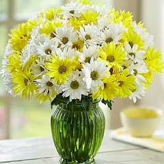 Елена Матросова, 17.11.1968, Ногинск