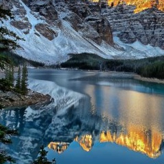 Надежда Пиотровская, 24.12.1983