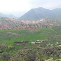 Калыс Токторбаева, 12.01.1969, Джалал-Абад