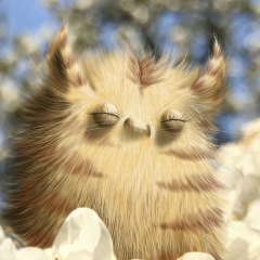 Софья Грецкая, 14.07