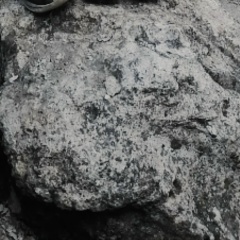 Любовь Красникова, Волосово