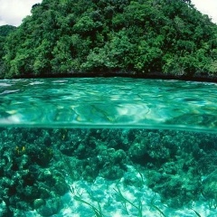 Наталия Король, 08.05, Чернигов