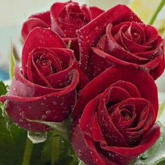 Коркемсулу Иманова, 24.07.1981