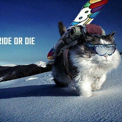 Андрей Карнаухов, 02.09, Красноярск