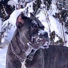 Виктория Колосова, 24.10, Санкт-Петербург