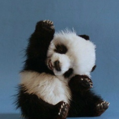 Лаура Касымова, 12.11.1994, Усть-Каменогорск