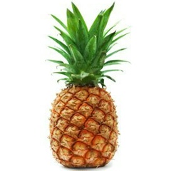 Вареник Скапустой, 11.02.1991