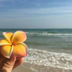 Diyora Begmatova, 23.05, Ташкент