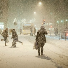 Нармина Гусейнова, 01.01