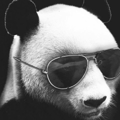 Стёпа Новаковский, 24.04.2000, Москва