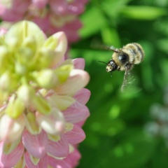 Надія Станчева, 31.08, Тернополь