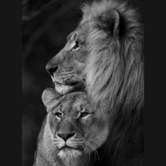 Айбек Магзамов, 07.07.1994, Тараз