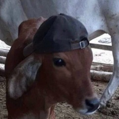 Алексей Тихомиров, 20.08