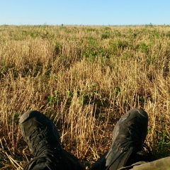 Евгений Матвеев, 16.07.1980, Москва