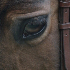 Вика Меликова, 18.01