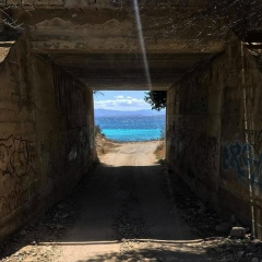 Самир Ризаев, 19.08.1908, Грозный