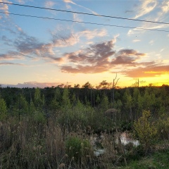 Михаил Александрович, 21.07, Москва