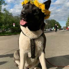 Андрей Макаров, 11.05.1969, Санкт-Петербург