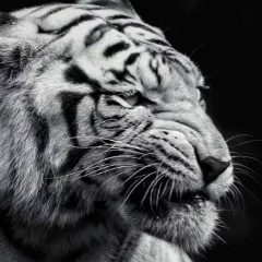 Евгений Крапивин, 29.12.1986