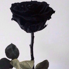 Ғалымжан Танбаев, 23.06.1996, Жанаозен