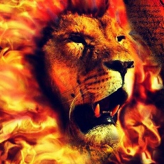 Қайрат Жириновский, 29.06, Алматы