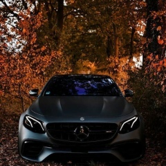 Толкын Жанадилова, 10.11, Алматы