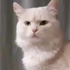 Вика Майер, 05.09.2003