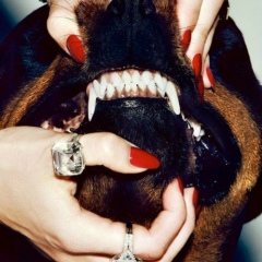 Анастасия Лиллисон, 26.11