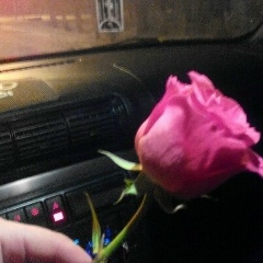 Мирошниченко Дмитрий, 23.05.1991, Алматы