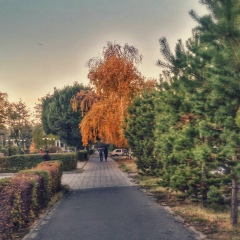 Гульнур Нусупбаева, Талдыкорган