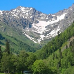 Наталья Степанова, Санкт-Петербург