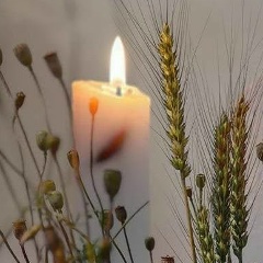 Елена Балюкова, Санкт-Петербург