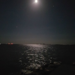 Berik Sagimbaev, 19.11.1989, Шымкент