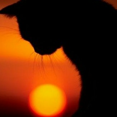 Анна Зайцева, 22.08, Саранск